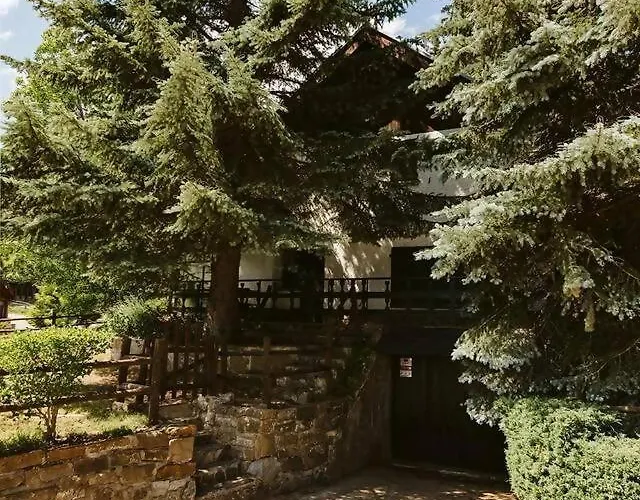 Semesterbostad Casa Fir By Cardi *